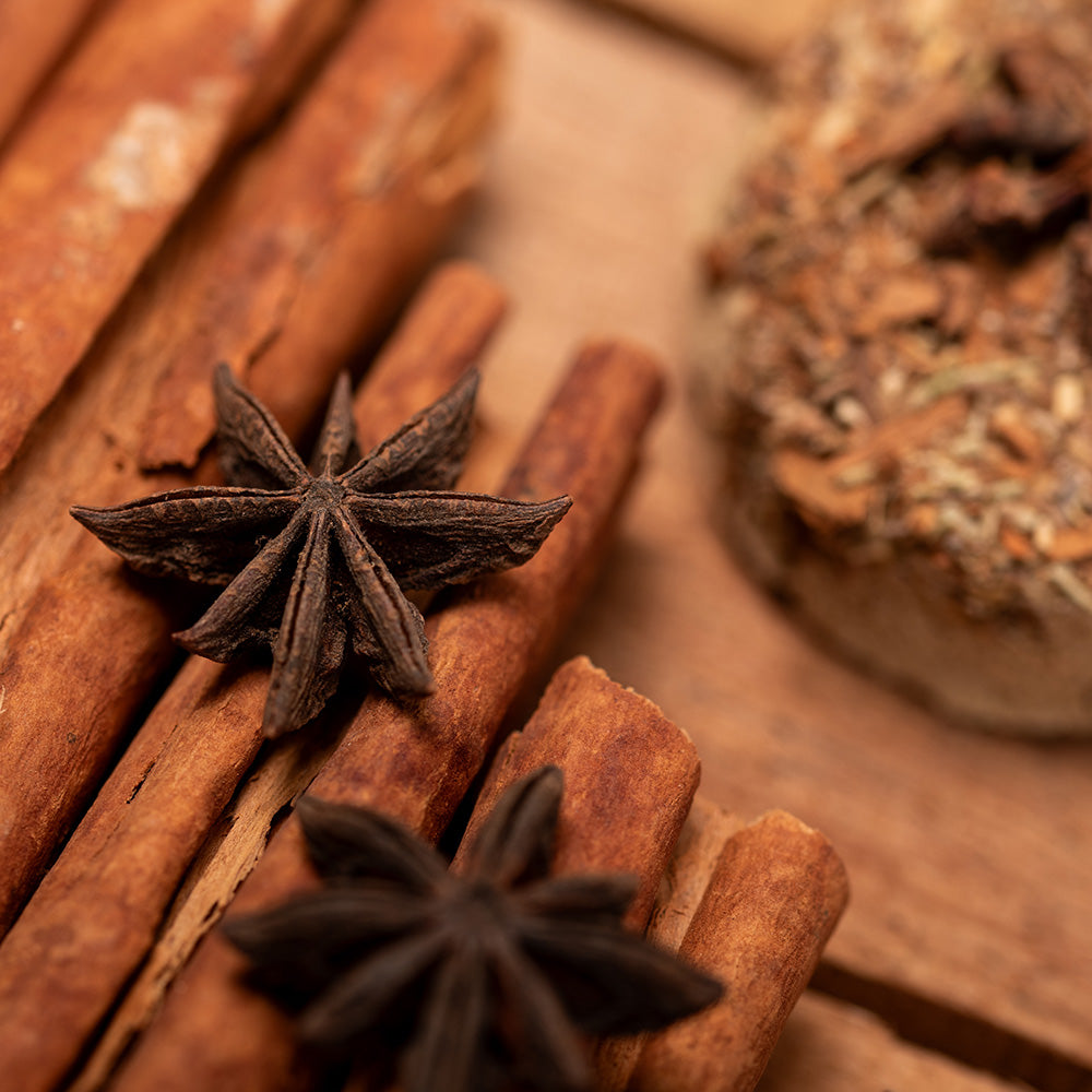 Charcoal Disks - Anise, Cinnamon, and Rosemary | Aromatic Herbal Blend