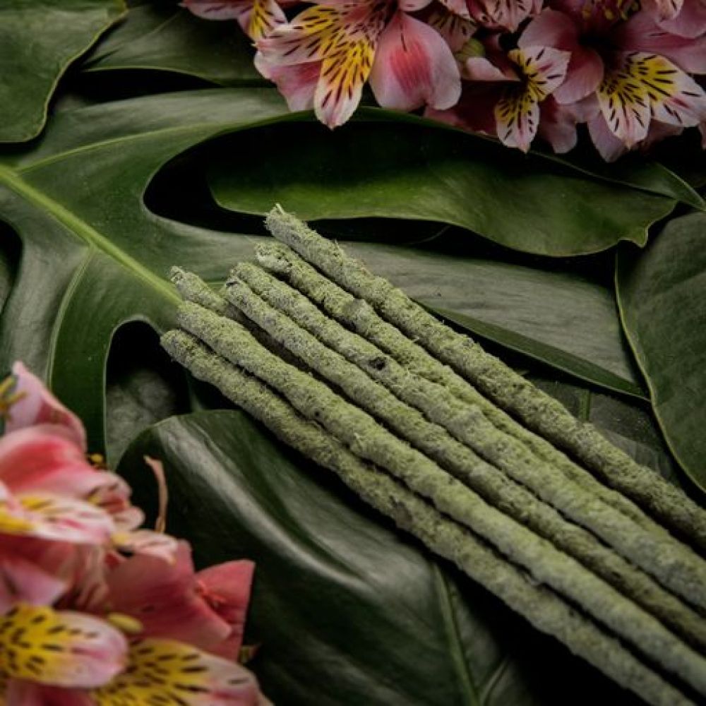 Organic Green Tea & Champa Incense | Botanical Blend