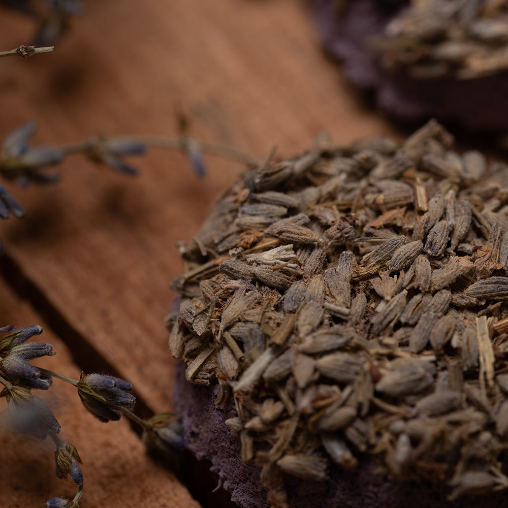 Charcoal Disks - Lavender | Calming Floral Aroma for Relaxation