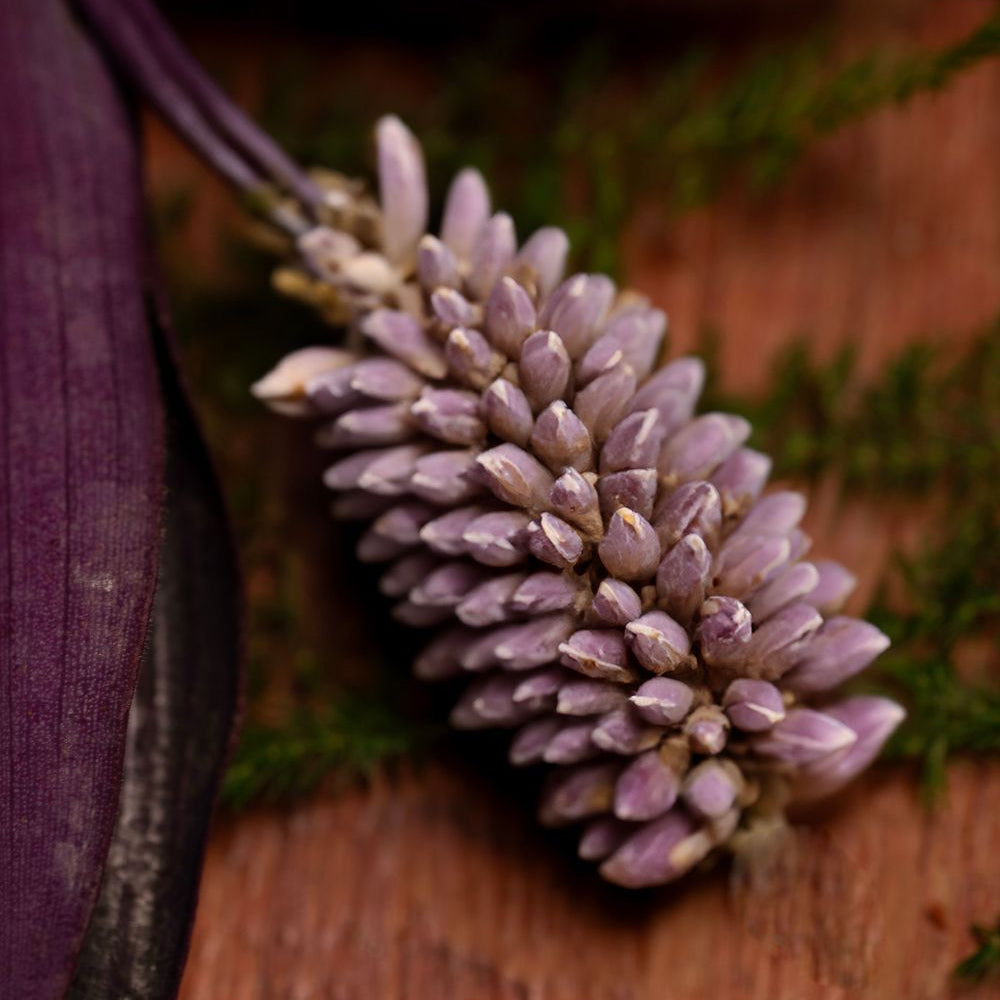 Natural Incense - Patchouli | Purify & Prosper
