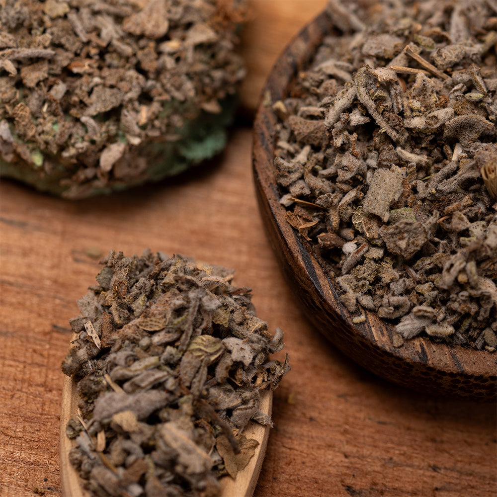 Charcoal Disks - White Sage | Traditional Herbal Purification
