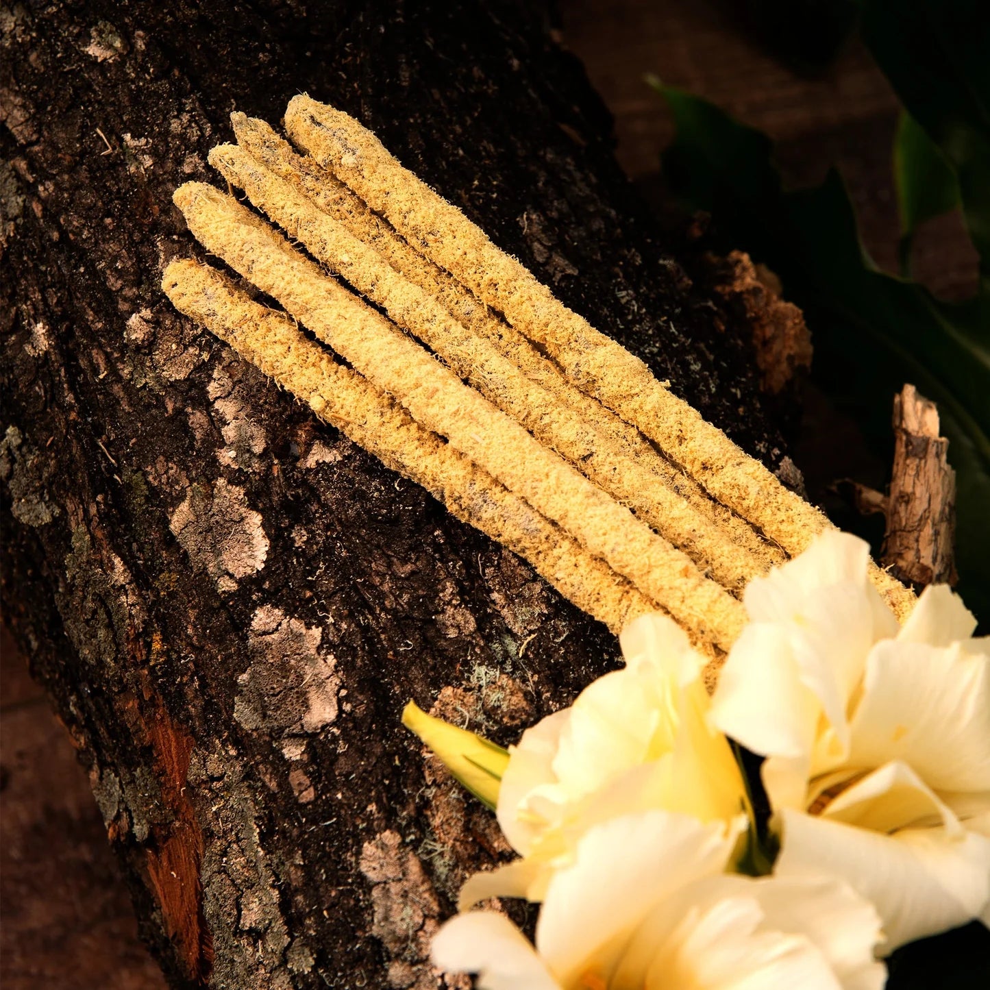 Organic Magnolia Incense | Botanical Blend