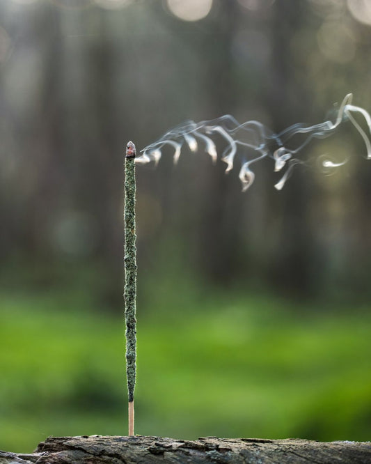 🌿 Aromatherapy for Mental Health: Supporting Wellness with Scent