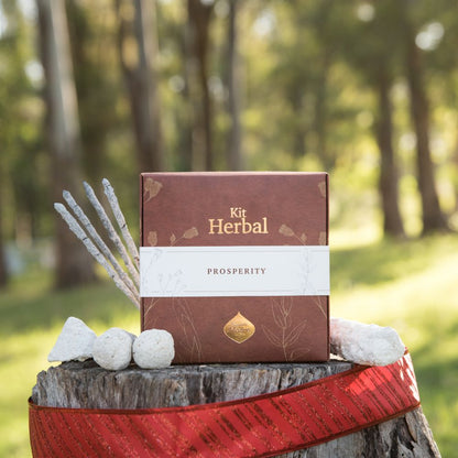 Incense Herbal Kit - Prosperity | Abundance & Wealth Attraction