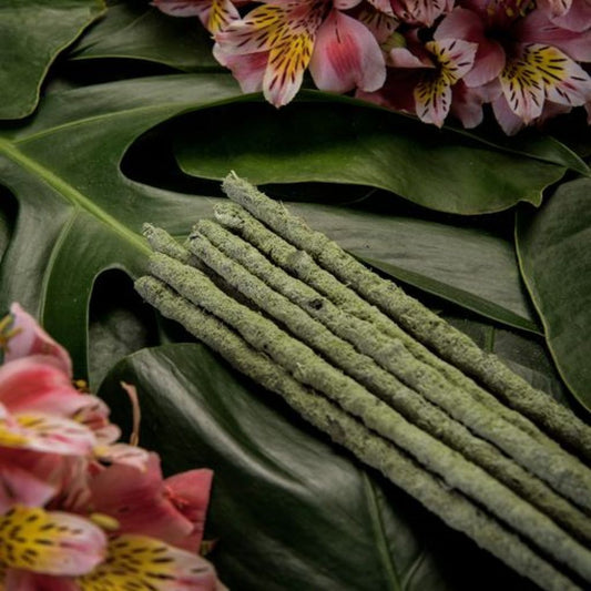 Organic Green Tea & Champa Incense | Botanical Blend